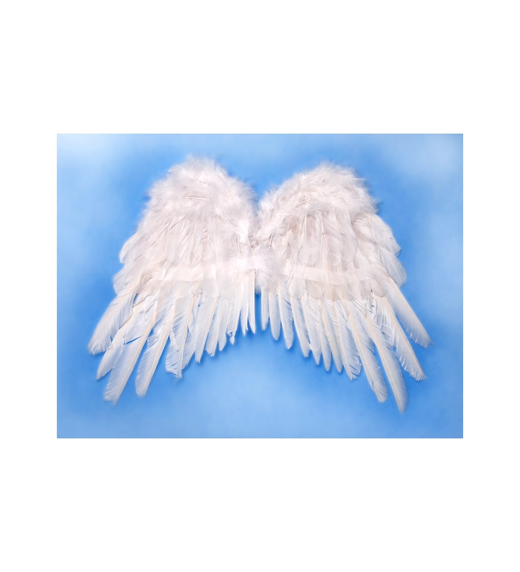 Bílá andělská křídla IV